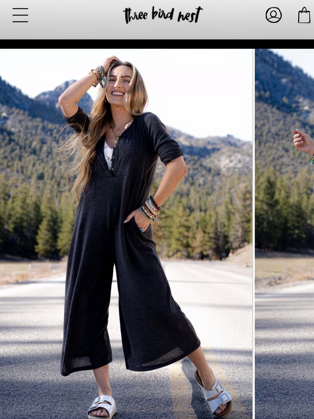 Three Bird Nest Simply Comfort Relaxed Wide-Leg Jumpsuit in Charcoal - Picture 7 of 14